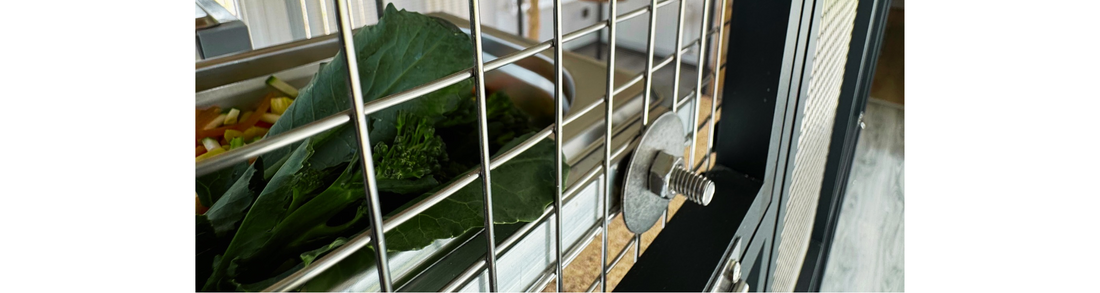 Keeping Birds at Home: Why Stainless Steel is Essential for Cages and Bowls