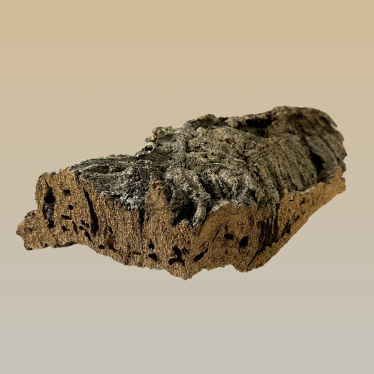 Natural Cork Wall | Non-Toxic & Disinfected for Safety - BirdsHome