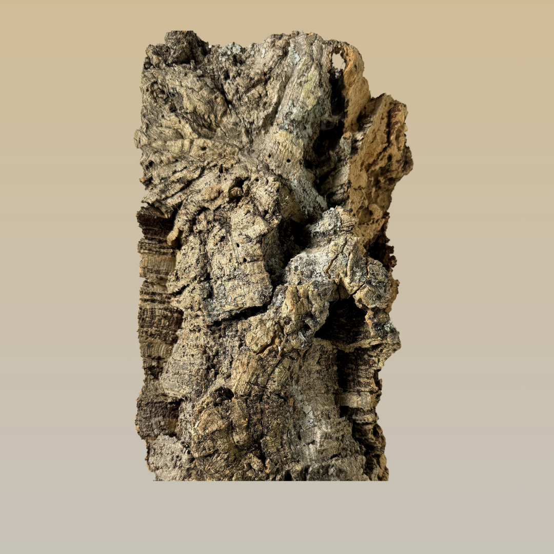 Natural Cork Wall | Non-Toxic & Disinfected for Safety - BirdsHome