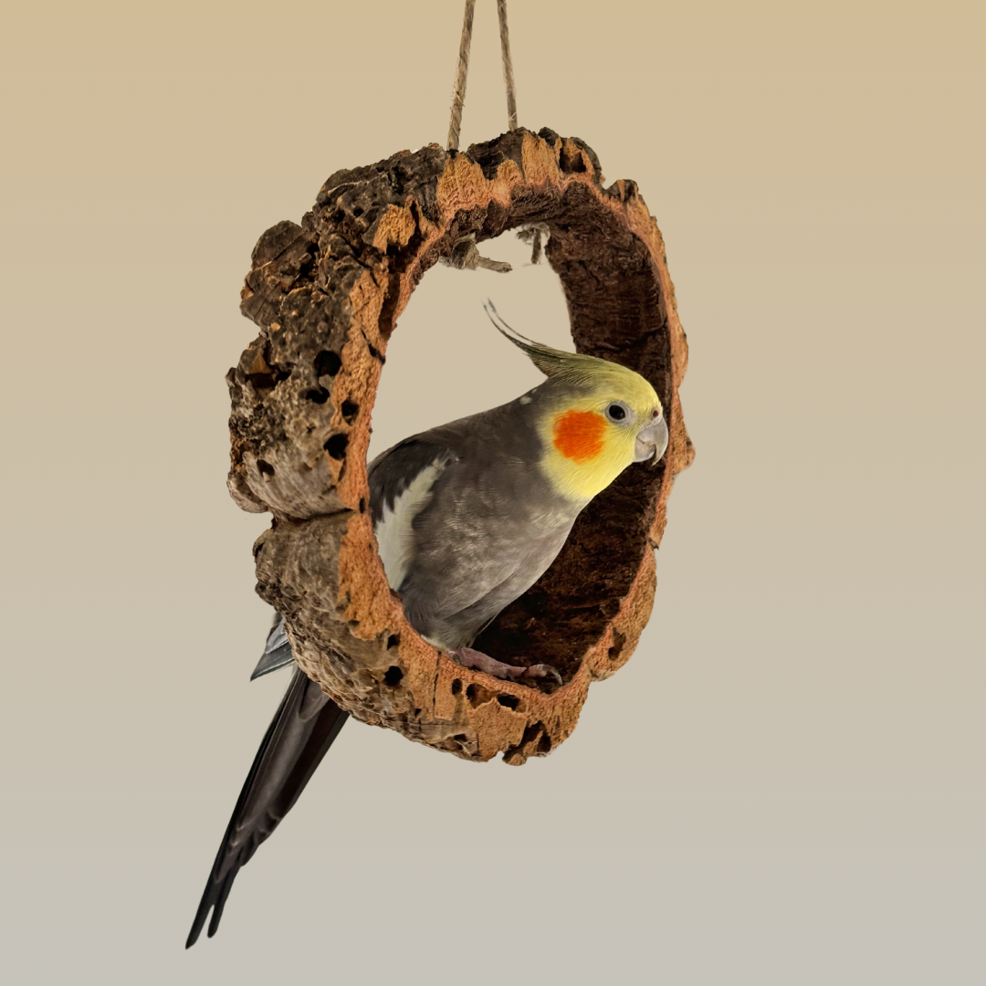 Bird Swing | Natural Cork Bark & Hemp Rope with Stainless Steel Hook - BirdsHome