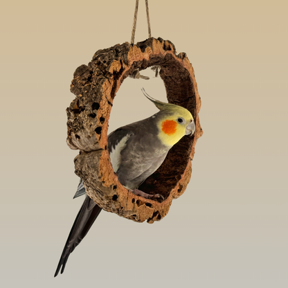 Bird Swing | Natural Cork Bark & Hemp Rope with Stainless Steel Hook - BirdsHome