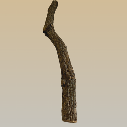 Long Cork Bark Branch | Natural & Safe for Birds - BirdsHome