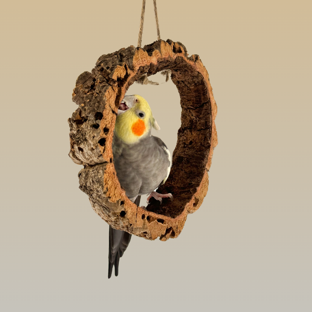 Bird Swing | Natural Cork Bark & Hemp Rope with Stainless Steel Hook - BirdsHome